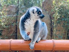 -北京野生动物园