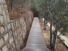 -北京十三陵国家森林公园蟒山景区