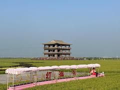 -红海滩国家风景廊道