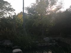 -曲阜尼山书院酒店-西餐厅