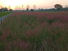 -汉长安城未央宫国家考古遗址公园