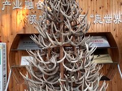 -北京鹿世界主题园