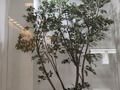 -苏州图书馆(人民路总馆)