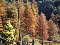 -广州市石门国家森林公园