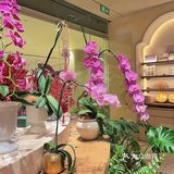 情调满满的约会餐厅推荐