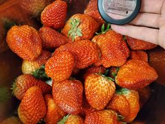 -新隆嘉 供销超市(修竹商场店)