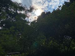 -广州兰圃