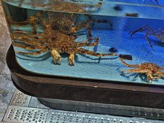 -阿伟海鲜楼·福建菜(延寿店)