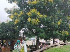 -HERRE·FARM 赫尔露营农场·团建聚会包场