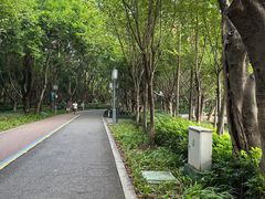 -顺峰山公园