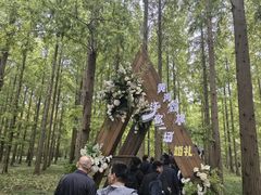 -黄海国家森林公园