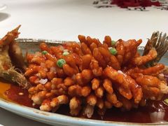 淮味松鼠鳜花鱼-扬州狮子楼·非遗淮扬菜(总店)