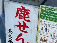 -奈良公园