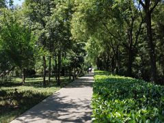 -唐城墙遗址公园