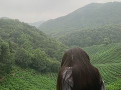 -西湖风景区十里琅珰-五云山