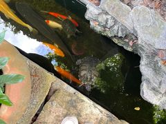 -三溪村