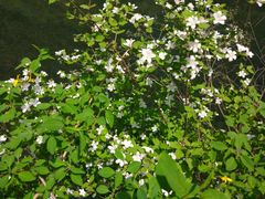 -山西通天峡景区