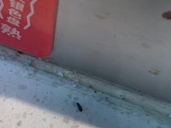 -龍歌自助小火锅(市南金茂湾店)