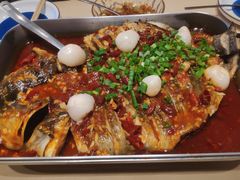 -鱼酷活鱼烤鱼(沈阳大悦城店)