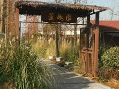 -上海长兴岛郊野公园