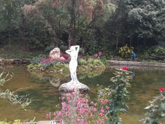 -深圳仙湖植物园