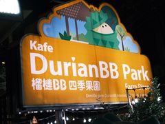 -榴莲BB 四季果园