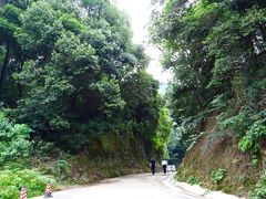 -天怡·鱼工厂(梅溪湖店)