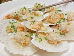 蒜蓉扇贝-新木器时代餐厅(太湖新天地店)