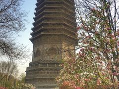 -玲珑塔公园