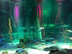 -沈阳海洋探索中心