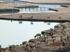 -溱湖国家湿地公园