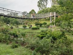 -东莞植物园