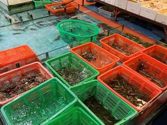 生猛海鲜-隆都四季香饭店(碧海路店)