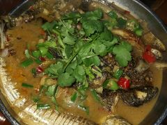 -全乐鱼馆·淳牌有机鱼直营店