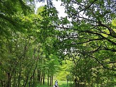 -溱湖国家湿地公园