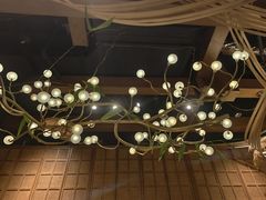 -觅唐MITONG(鸟巢店)
