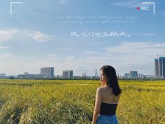 -光明小镇欢乐田园