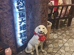 -破瓦寒窑·地摊烤羊排