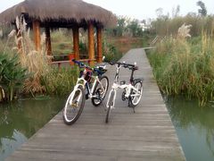 -白鹭湾湿地公园