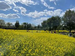 -长白岛森林公园