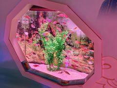 -正佳极地海洋世界