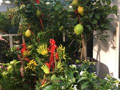 -双季花艺园艺市场(浦东店)