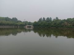 -塘沽森林公园