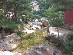 -无染寺