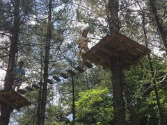 -梦幻奥陶纪景区