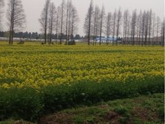 -上海老范农家乐(崇明前卫村店)