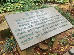 -海口火山口国家地质公园