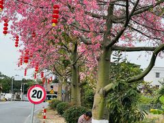 -大旗头古村