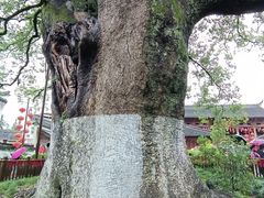 -新安江山水画廊风景区
