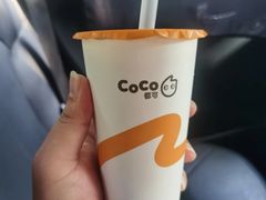 大红袍珍珠奶茶-CoCo都可(世茂广场店)